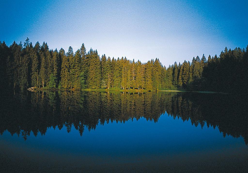 Ferien Residenz Bergfried Hotel Hinterzarten Bagian luar foto